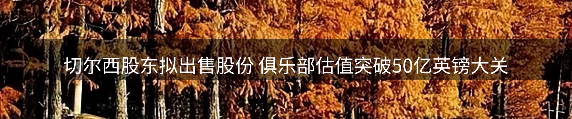 最新资讯